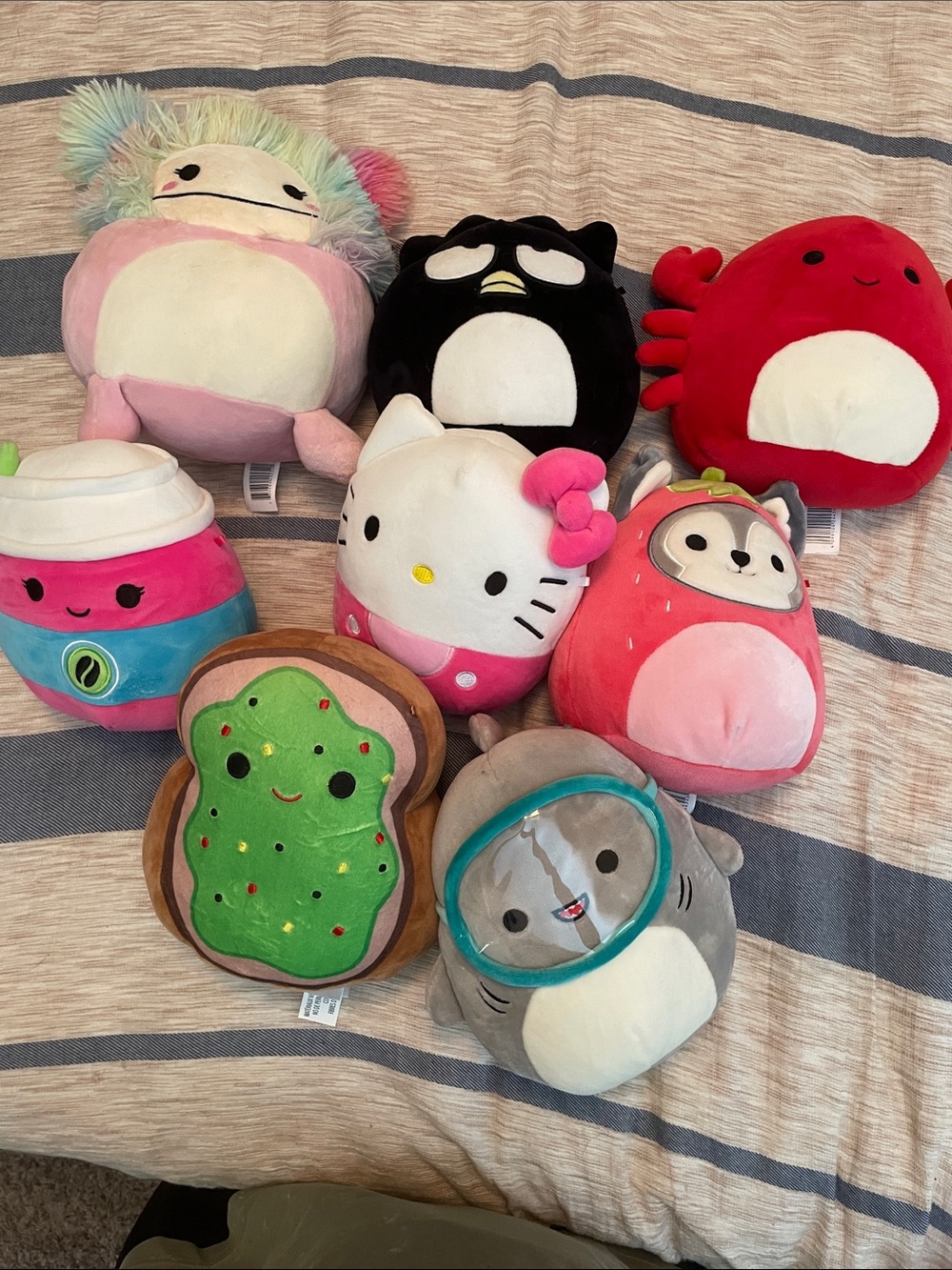 Squishmellow Bundle lot